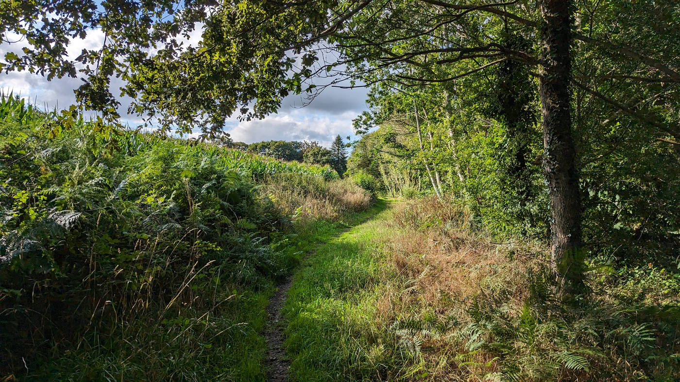 Sortie des bois