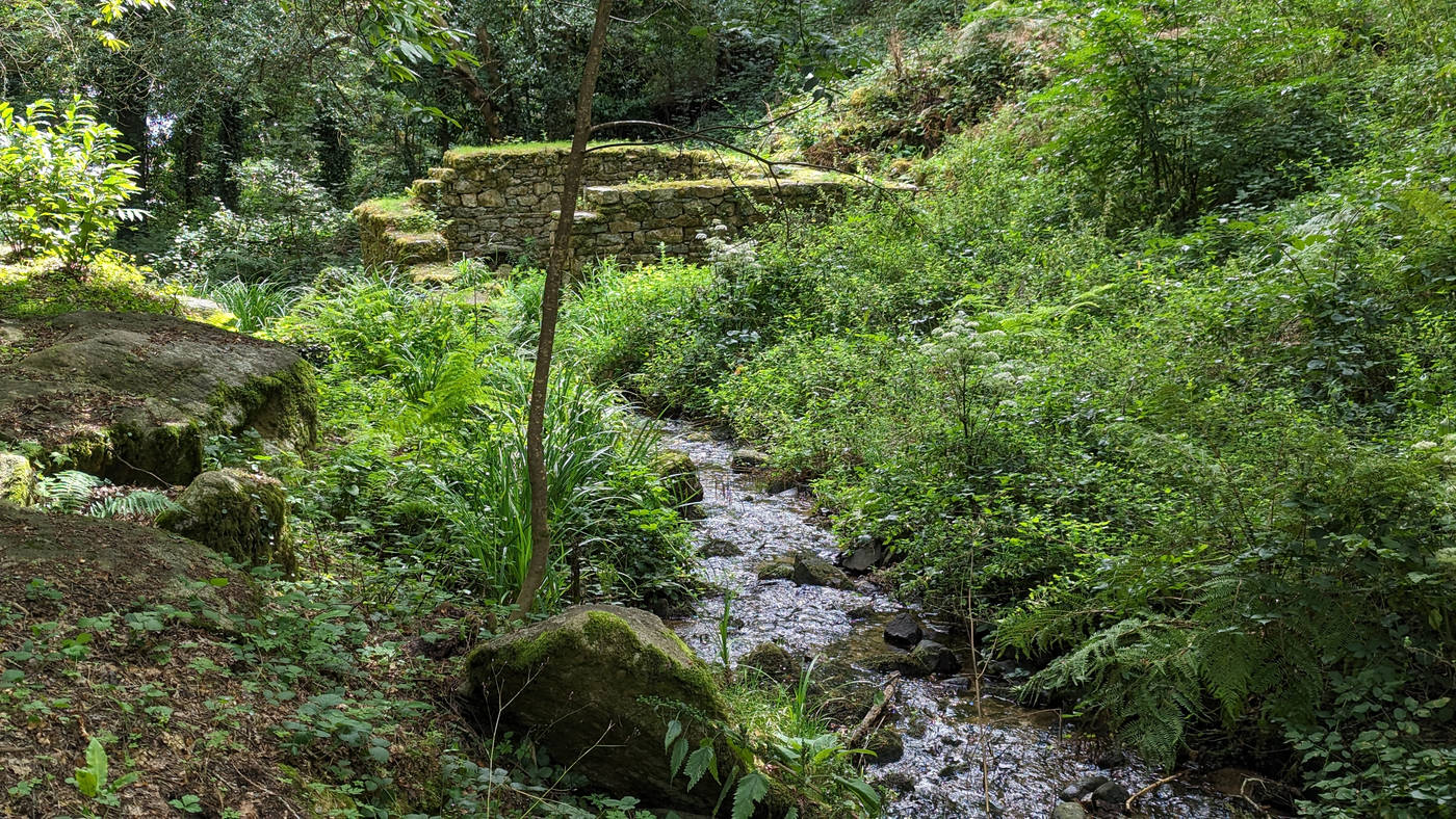 Ruine d'un 2ème moulin