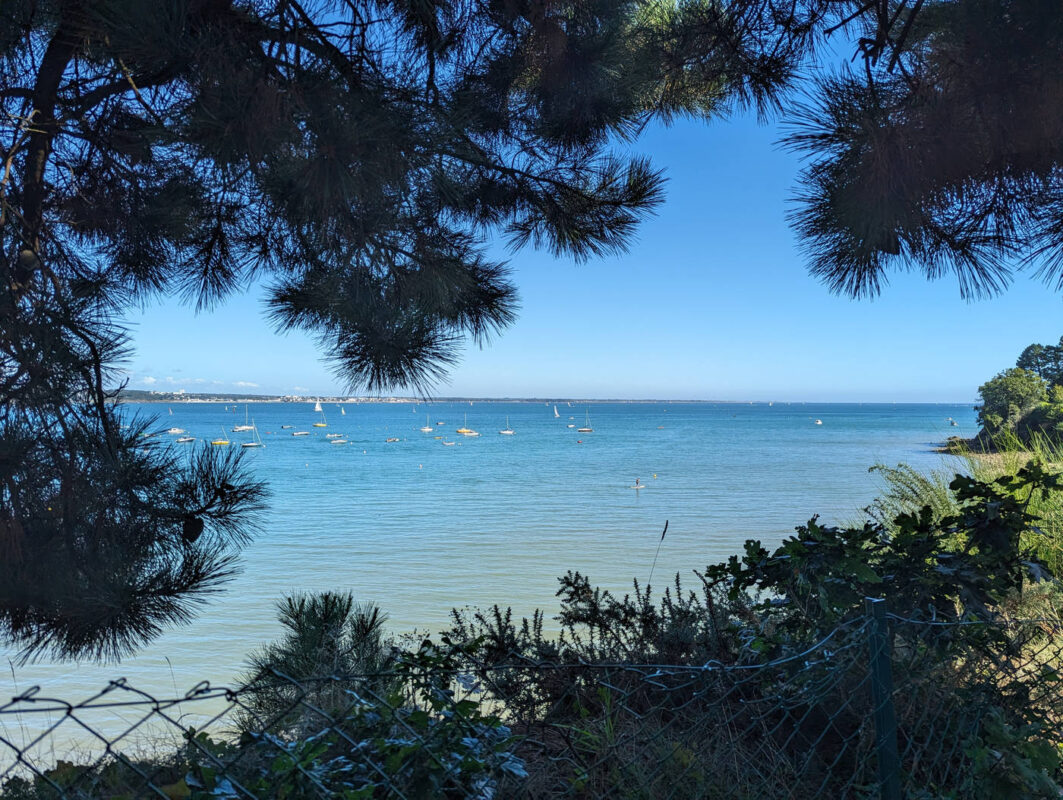 Vue mer sous les arbres