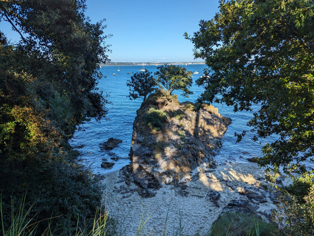 Arbres en faut d'une roche