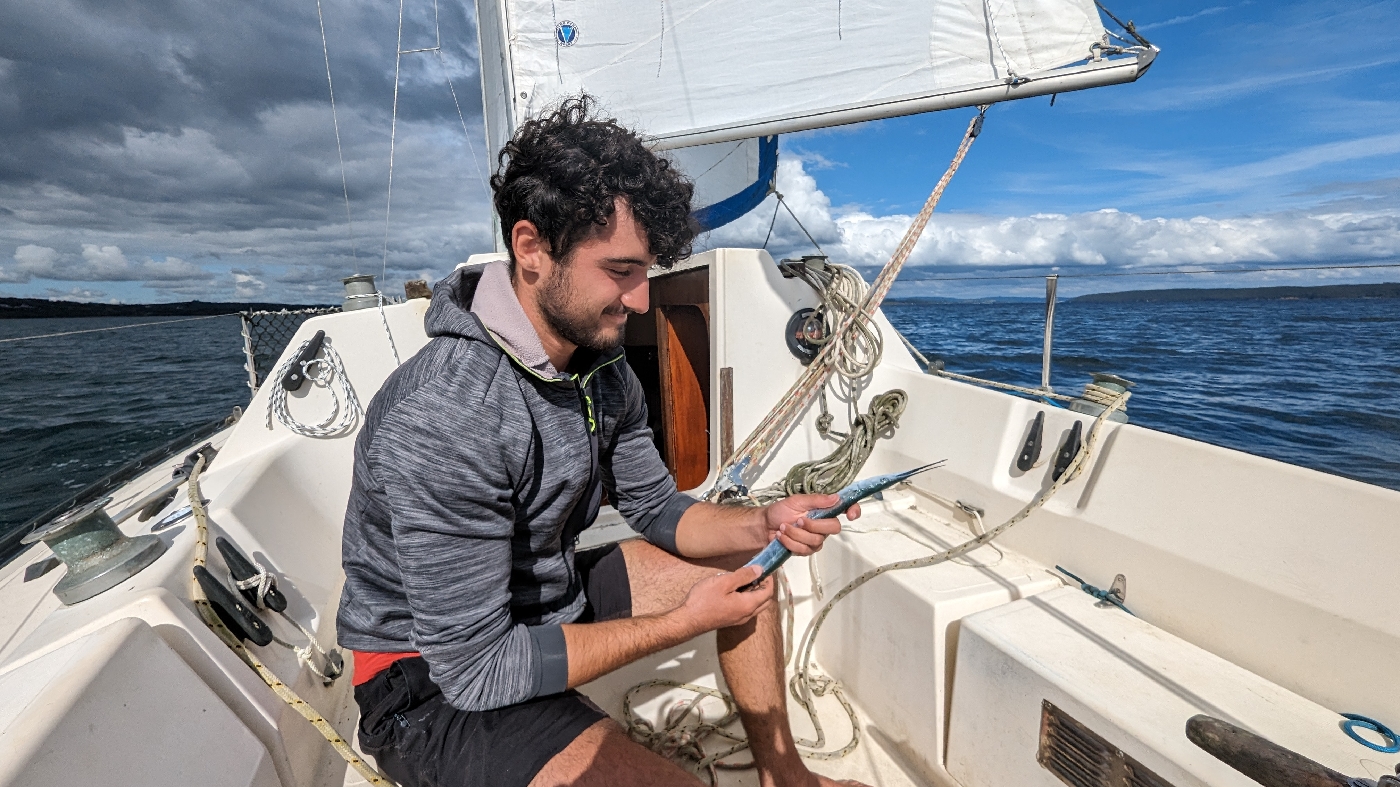 La pêche : une orphie