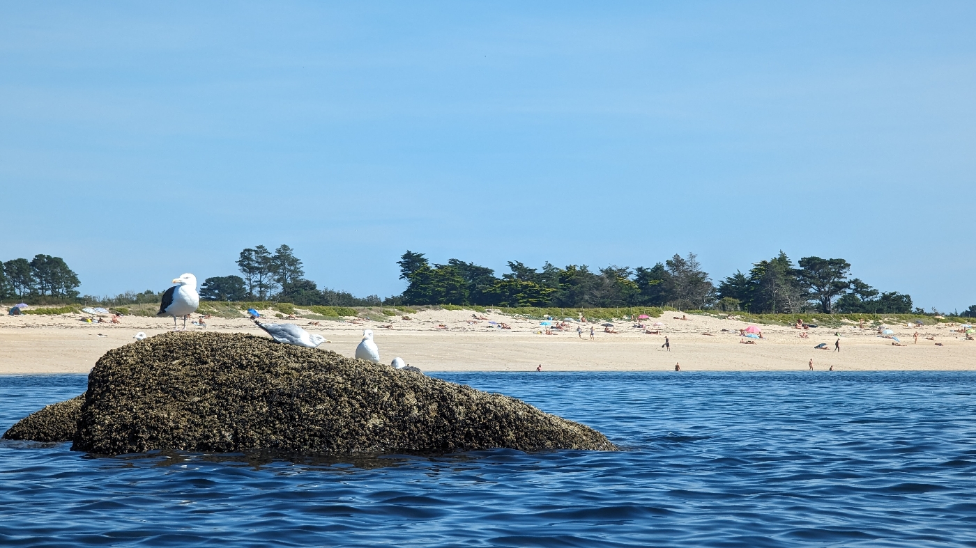 Les roches sombre à marée basse, les parasols multicolores aux loin