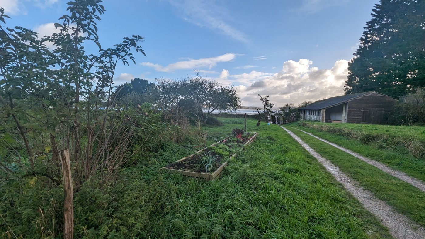 Le potager au soleil
