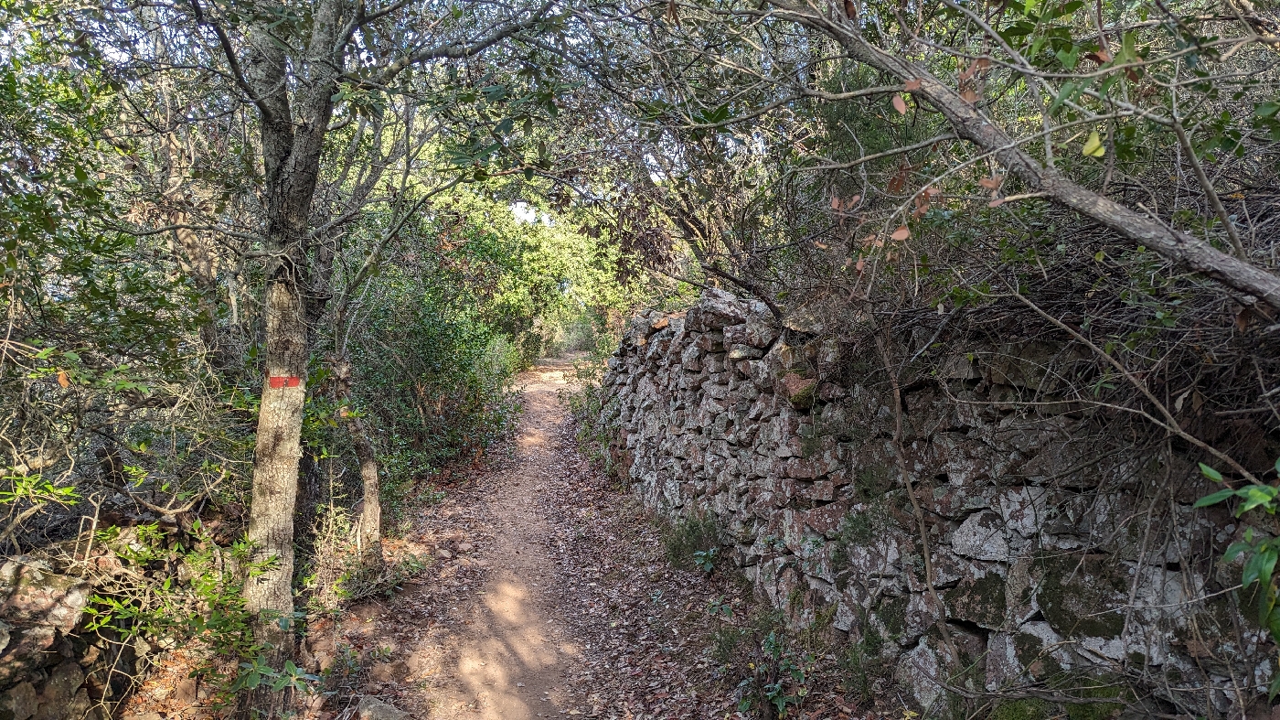 Le sentier bordé de mur