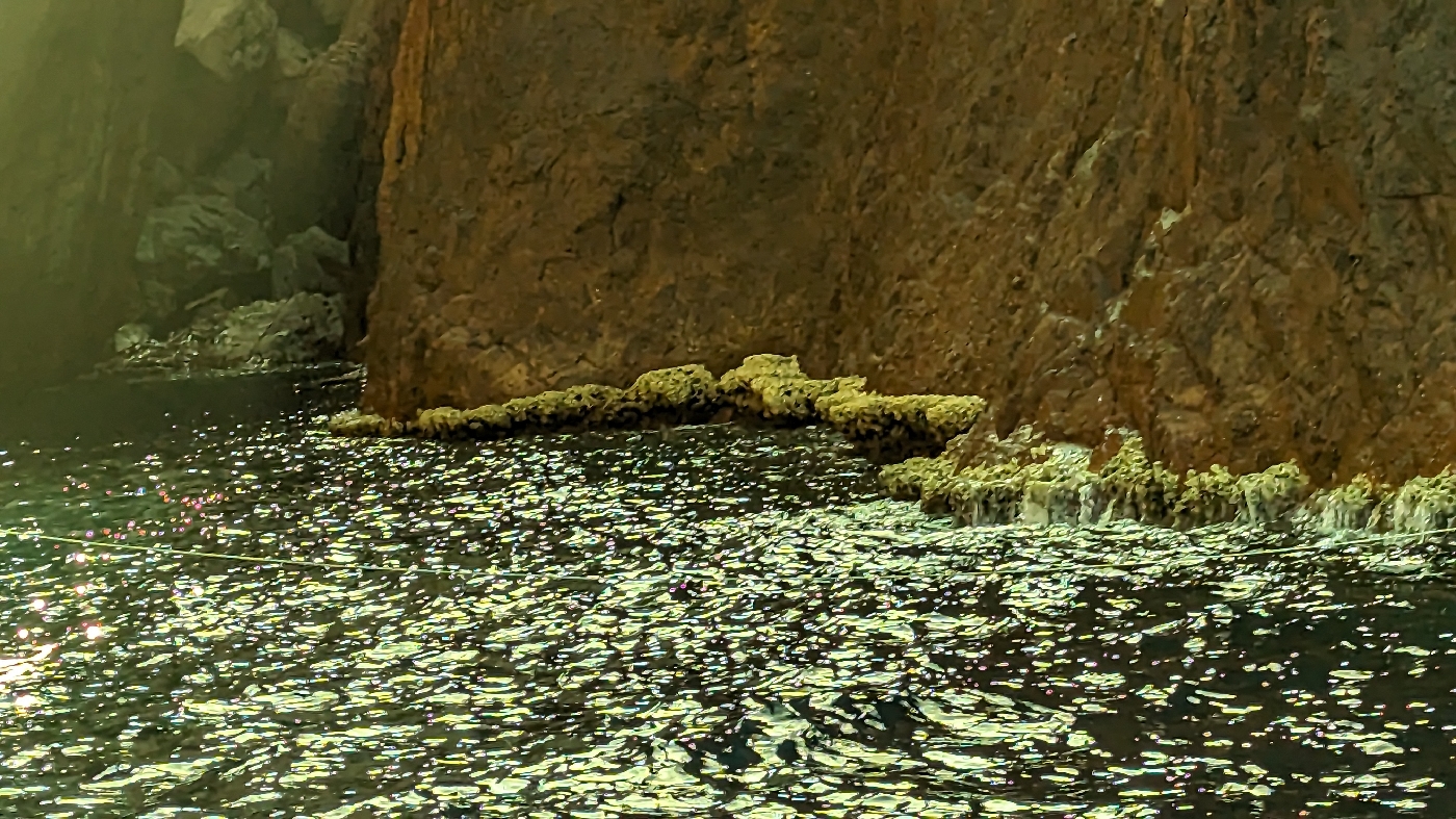 Le trottoir de méditerrané, algue calcaire au ras de l'eau sur la roche