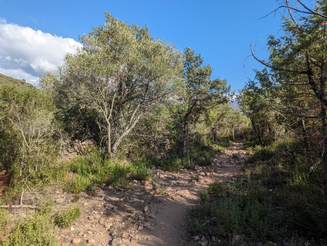 Le seul petit bout du vrai sentier