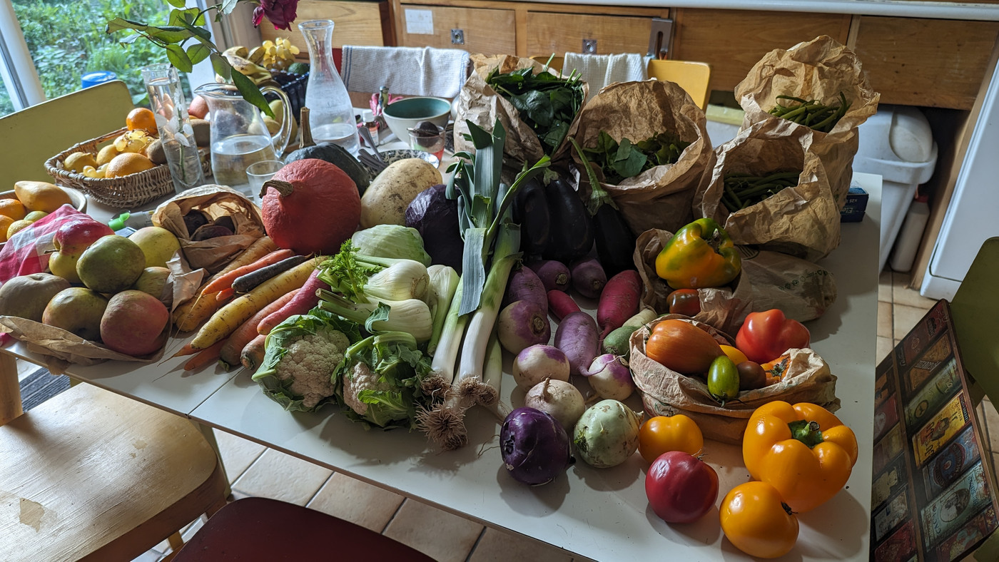 Les légumes Bio ramené de Bretagne pour les parents