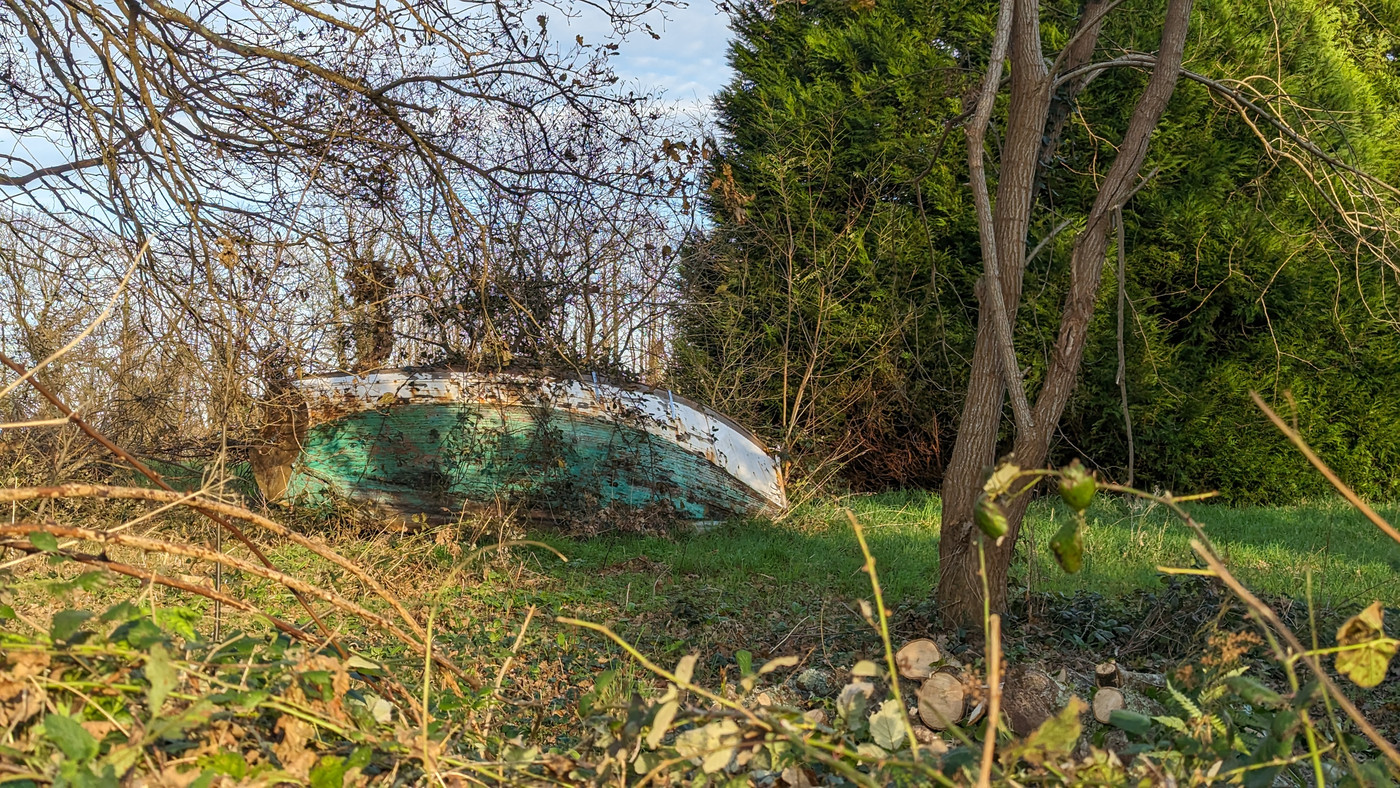 Barque perdu dans un champs