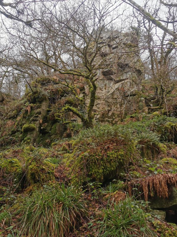 Falaise aux Roches