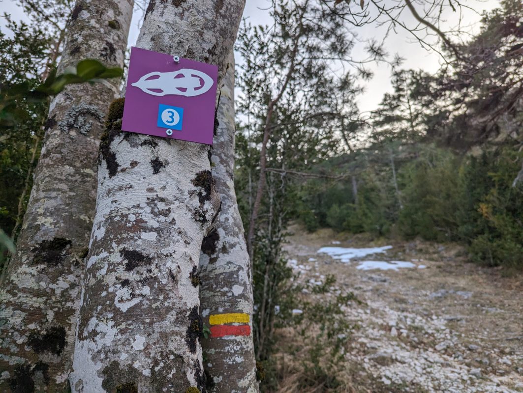 C'est une piste, mais difficile de faire de la raquette !