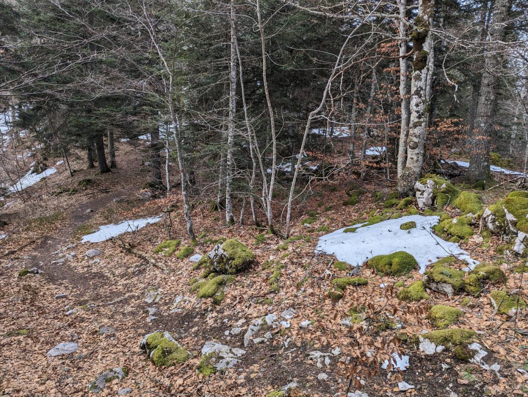 Le sentier monte raide avec des début de neige