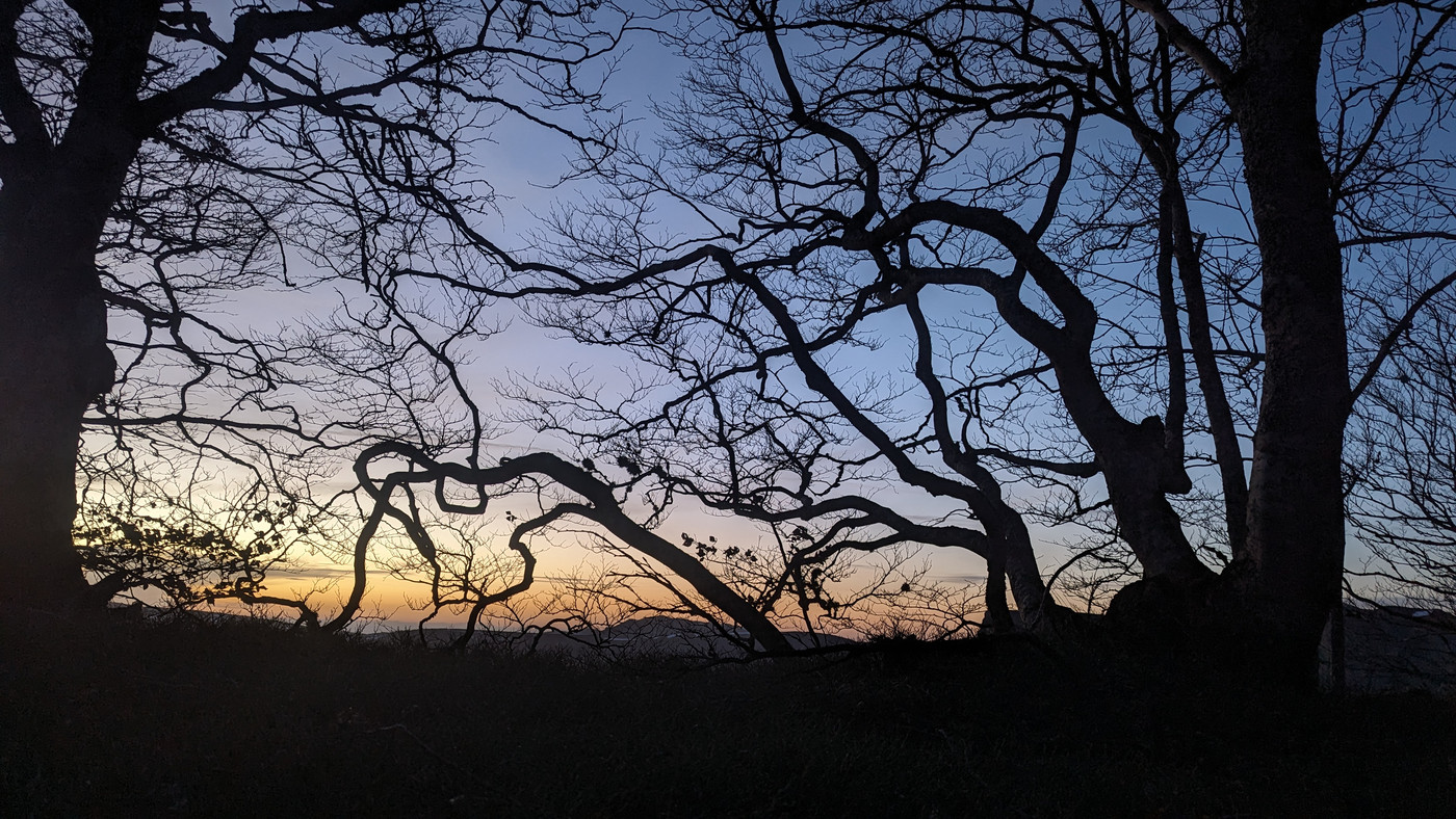 Couché de soleil à travers les arbres qui me sépare du précipice