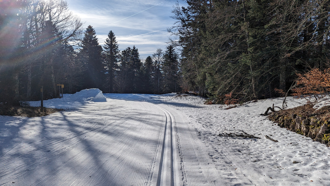 Pistes bien propre en forêt