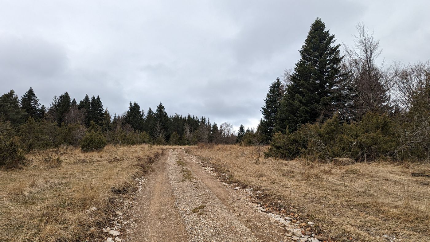 Reprise de la marche sous les nuages vers la forêt de Die