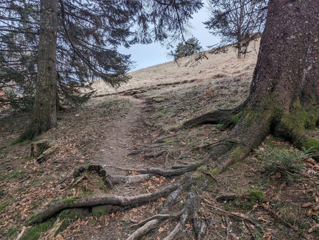 Petit sentier vers la falaise