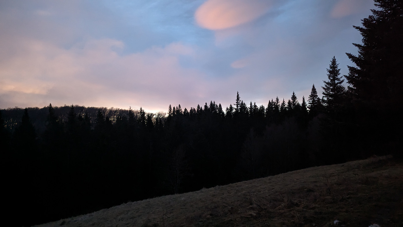 Levé de soleil sur la forêt