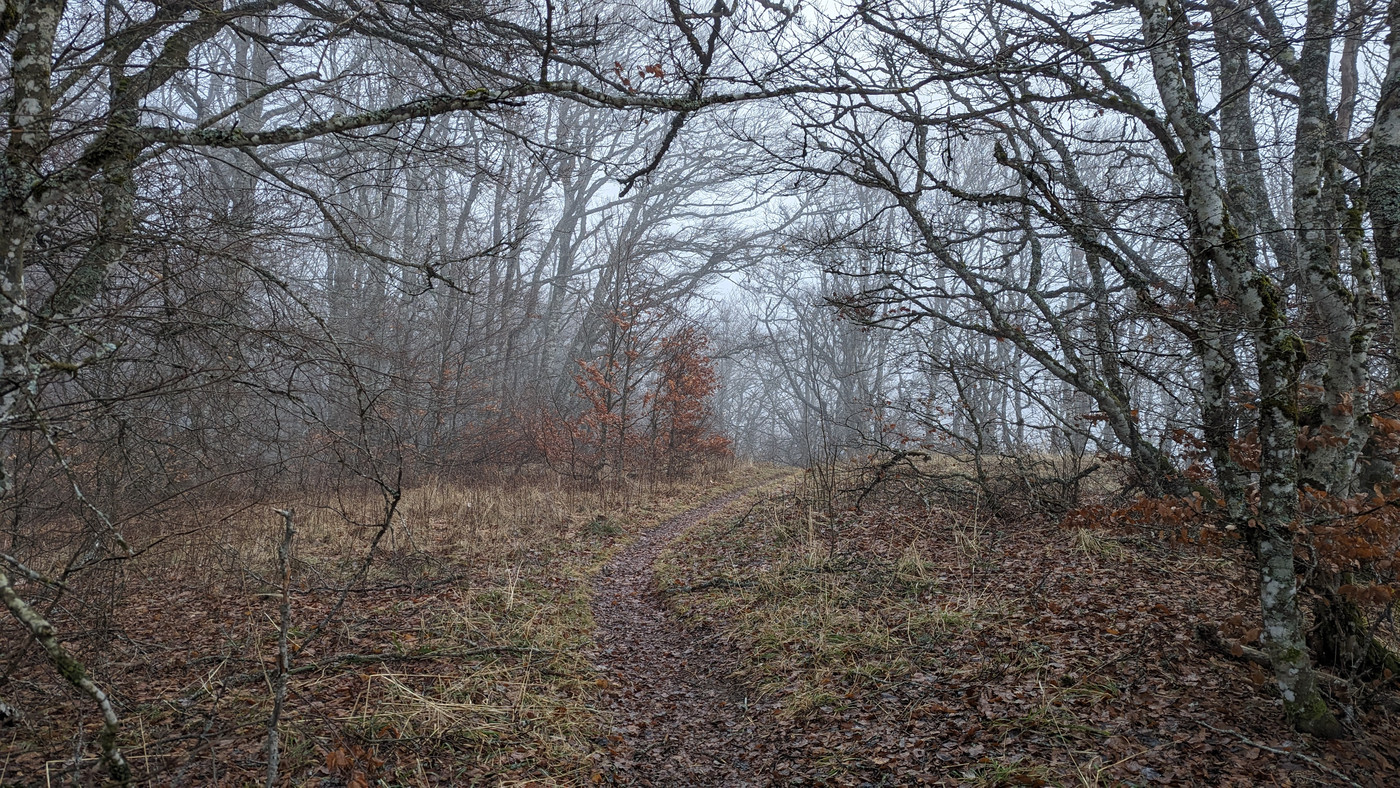 Sentier qui mène à la crête, dans la brume