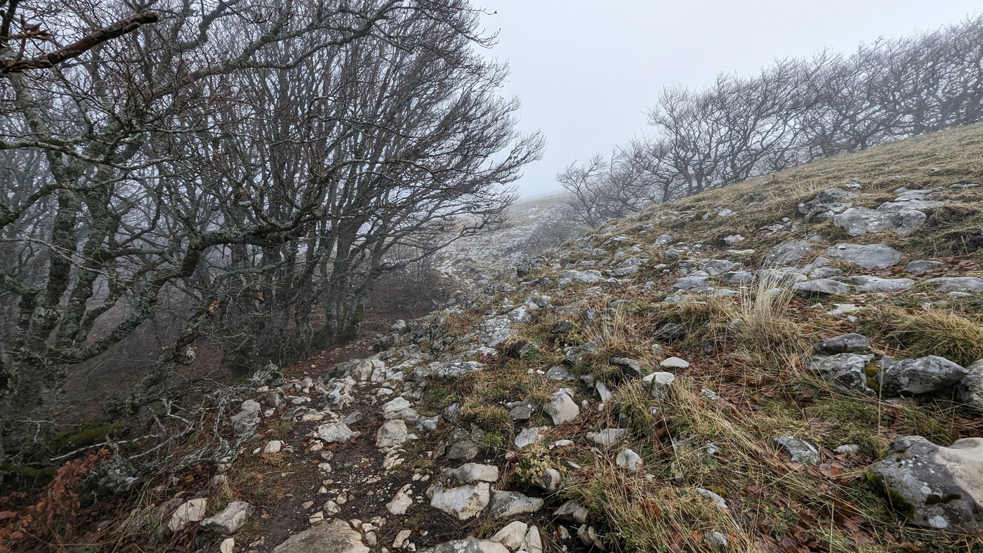 Sentier sur la crête