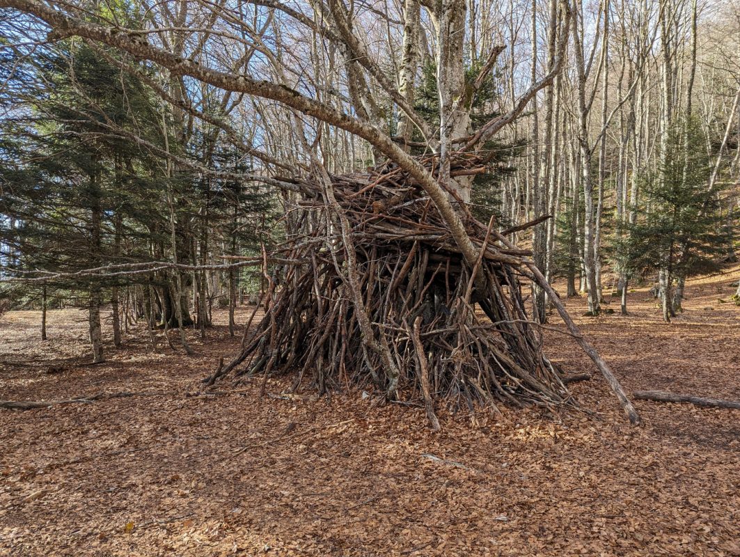 Cabane parmi les arbres