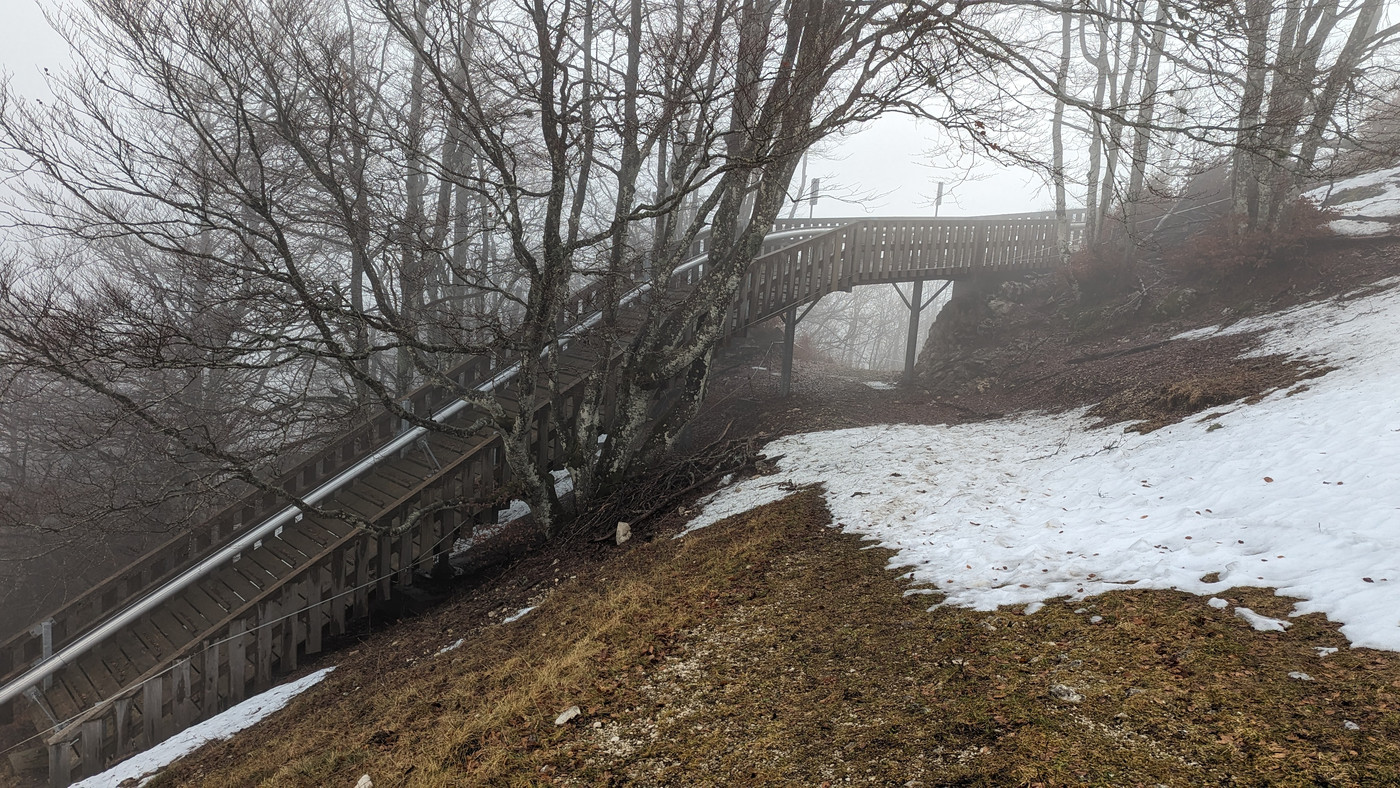 La Luge sur Rail en pleine nature