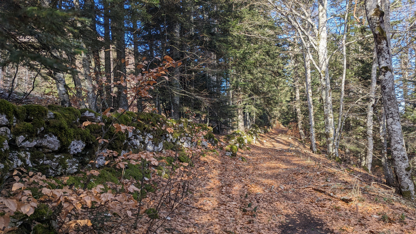 Sentier Romain