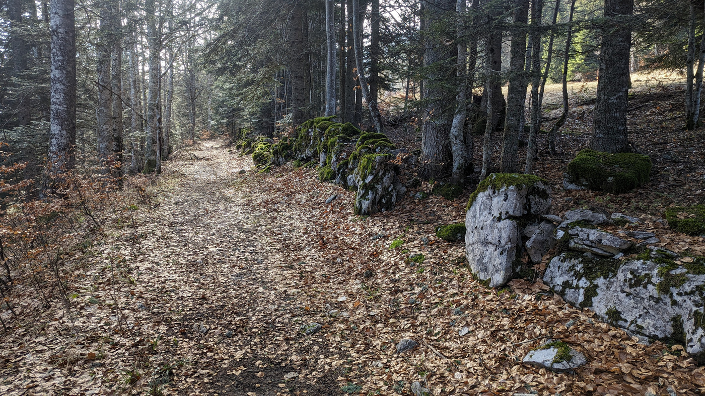 Si ce n’est pas un très vieux sentier ça ?