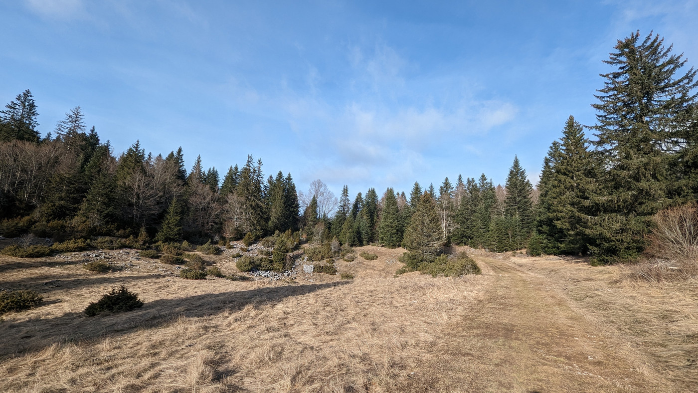 Le sentier qui devrait être une piste de fond