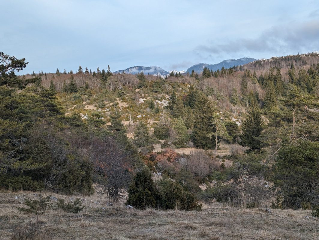 Même biotope, un peu plus de relief