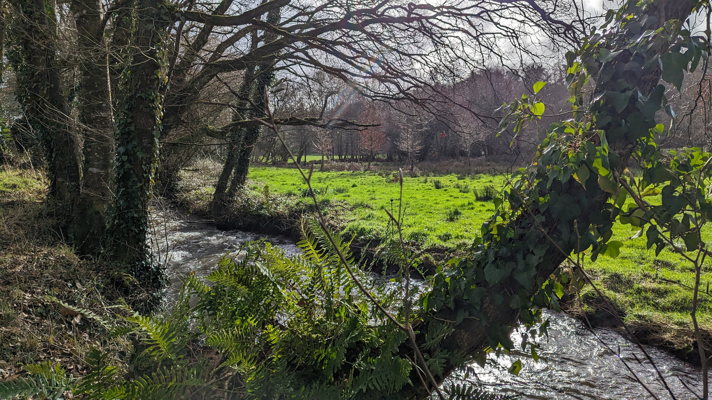 Campagne autour d'Elliant