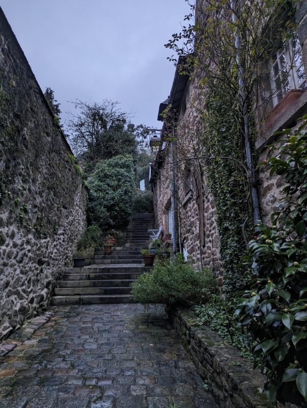 Ruelle végétalisé