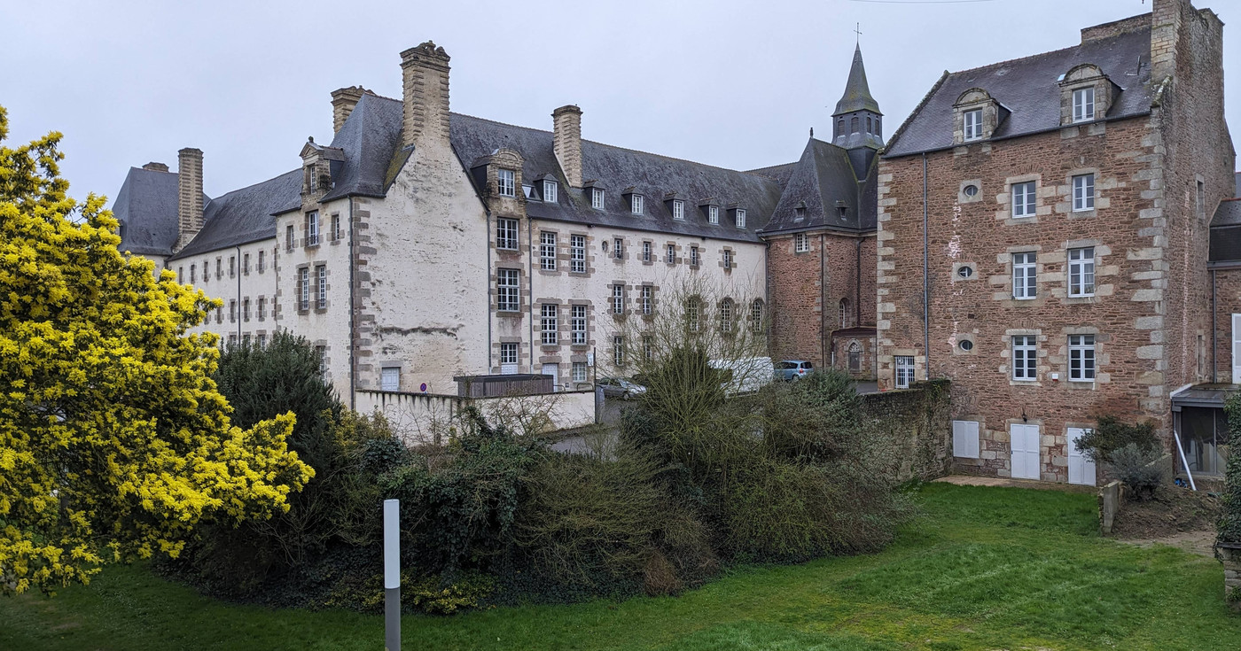 La bibliothèque et Mimosa