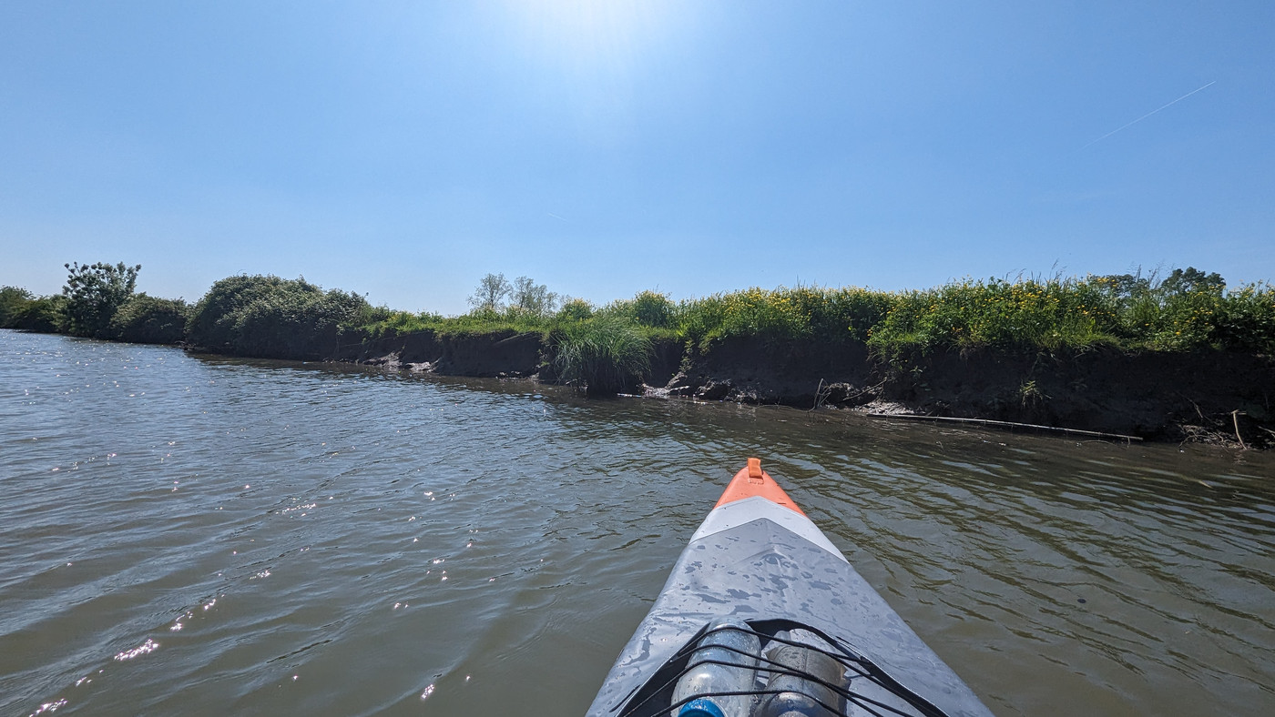 Kayak sur la sèvre Niortaise