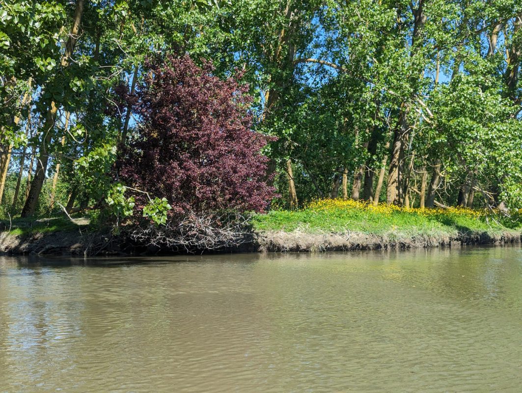 On dirait un parc avec ces couleurs d'arbres