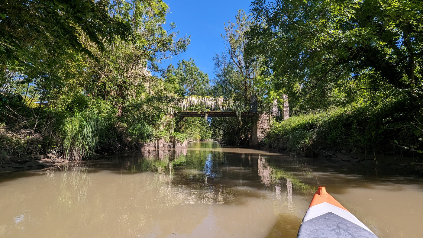 Pont avec une jolie glycine