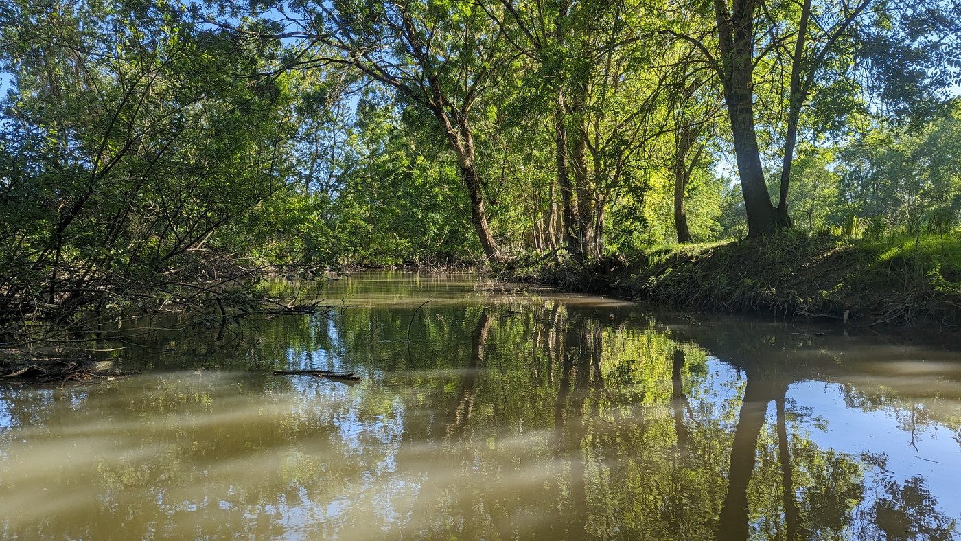 Ambiance des marais