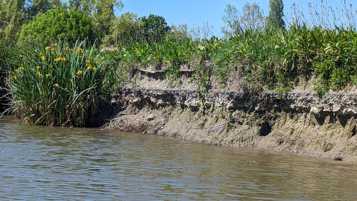 Les strates sur la rive : vase séché, couche de calcaire, terre...