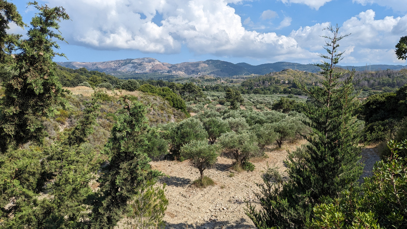 Paysage méditerranéen