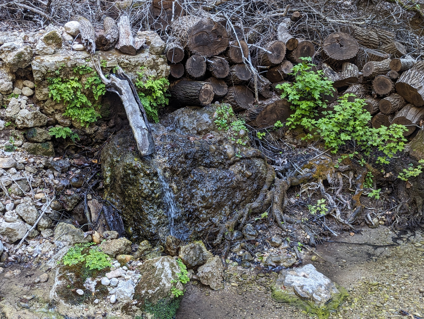 Cycle de la nature