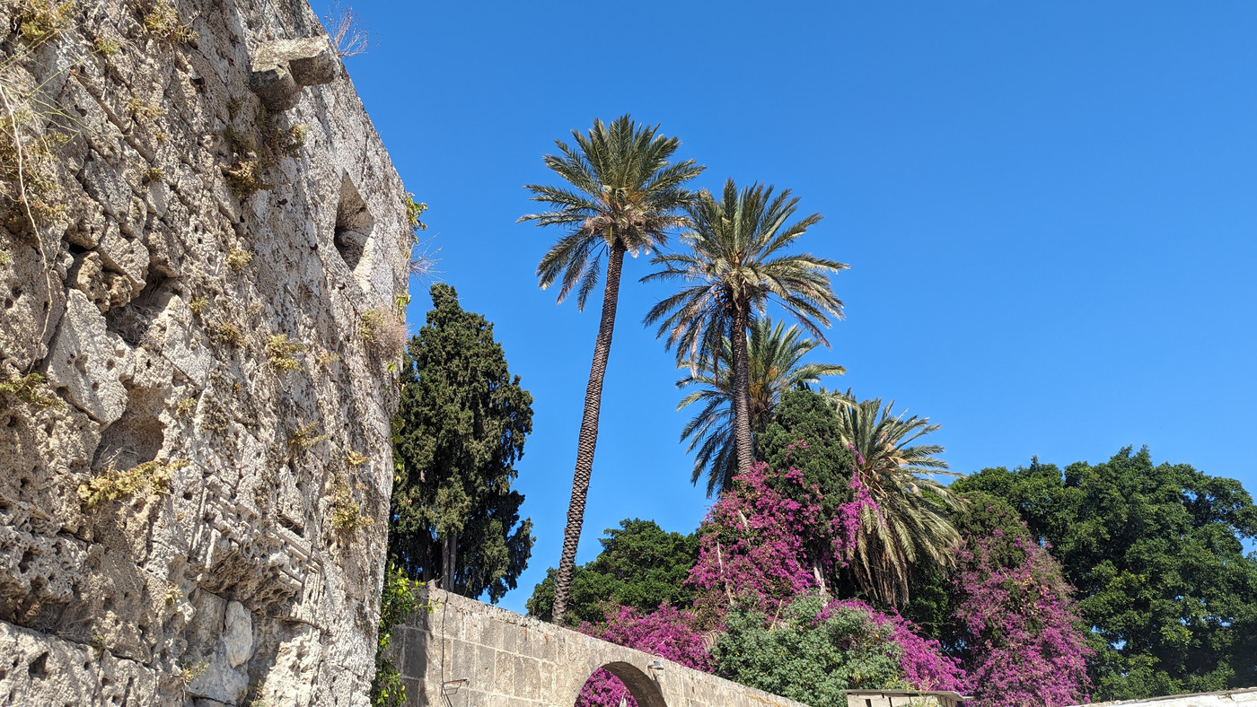 Végétations tropicales !