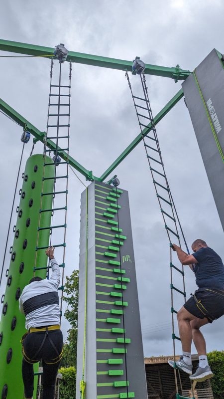 Escalade des haricots géants