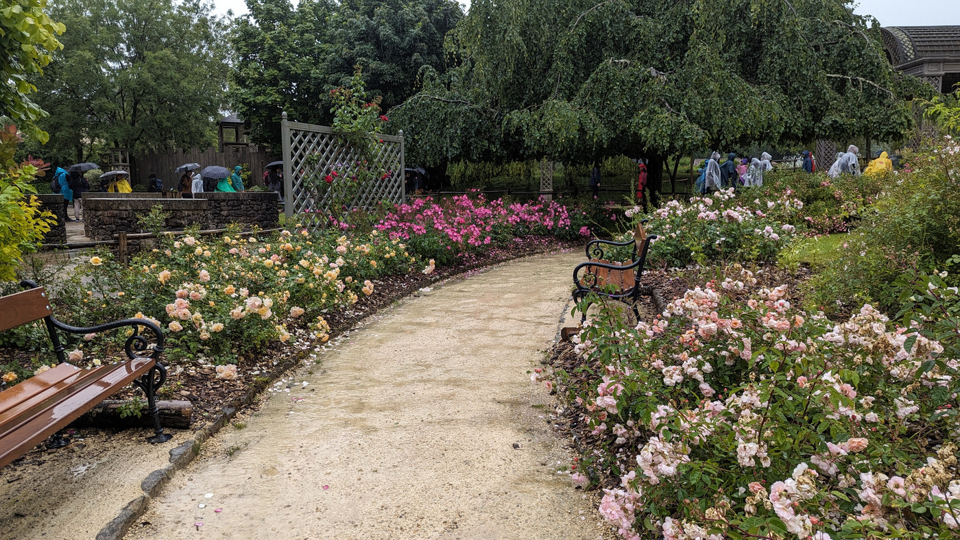 Parterre de fleurs