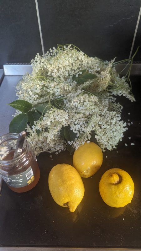 La recette : fleurs de sureau, citron, sucre, miel...