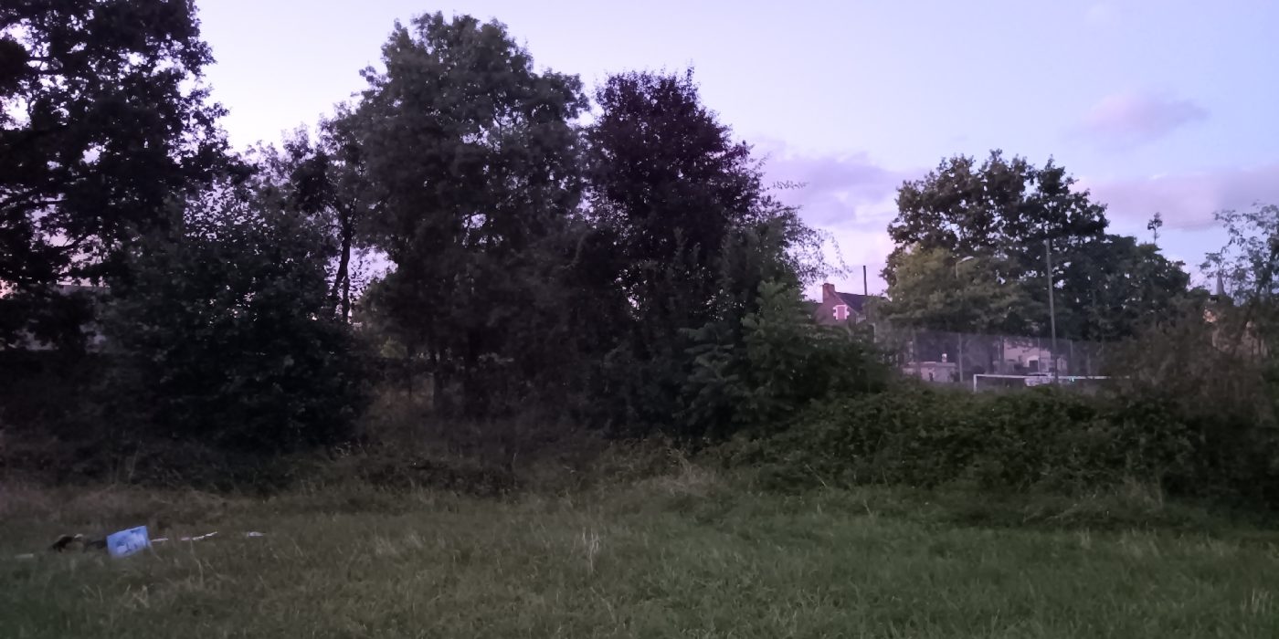 A droite la voiture qui charge, au milieu le coin pour poser la tente discrètement, et à gauche le buisson de mures !