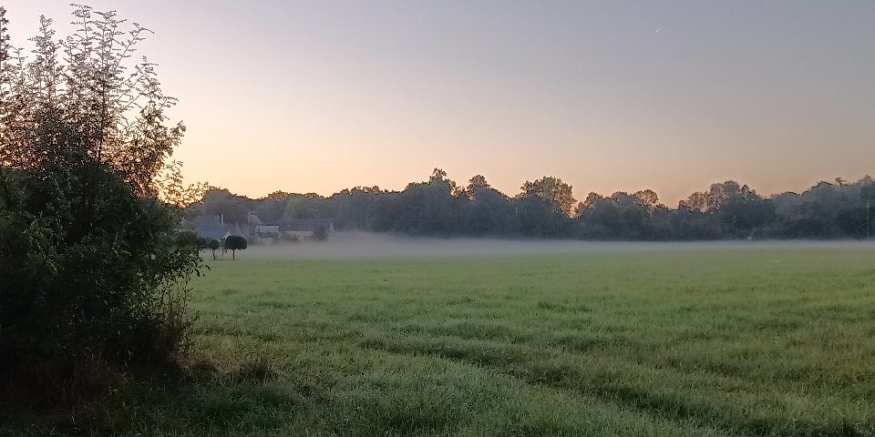 La vue depuis la tante au matin