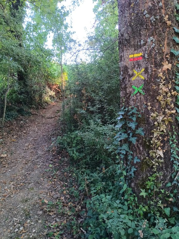 Me voila dans les bois, avec de multiple sentier. Aujourd'hui c'est le PR.