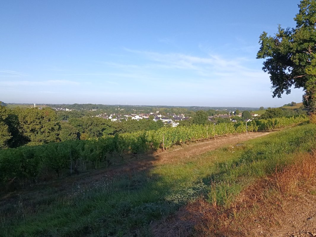 C'est partie, on surplombe vite la ville quitté rapidement.