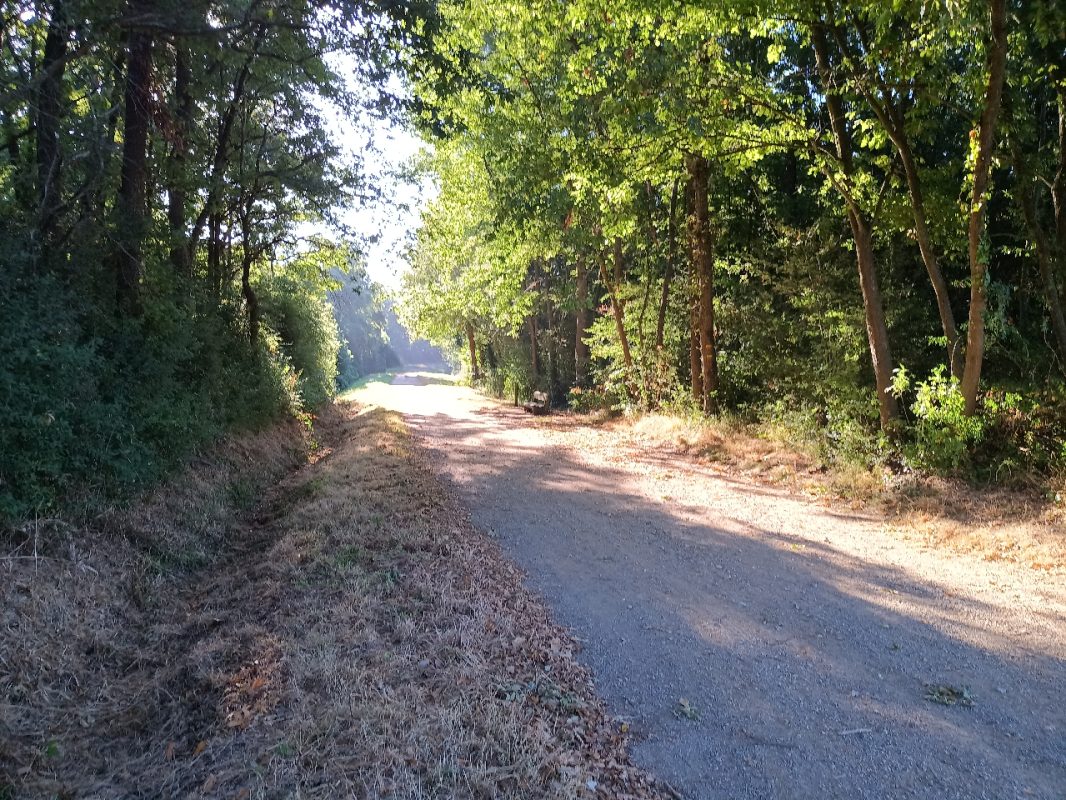 Parfois il y a des sous bois, bien agréables.