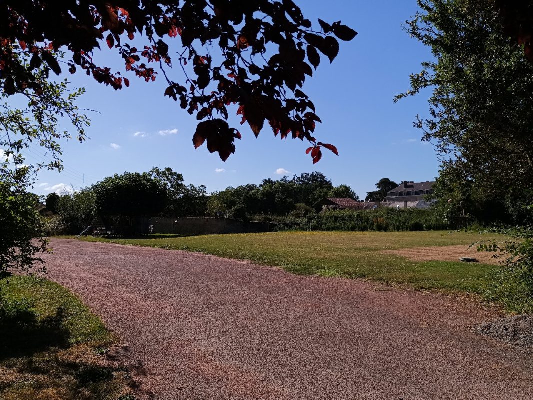 Ciel bleu, le chemin est sous les arbres