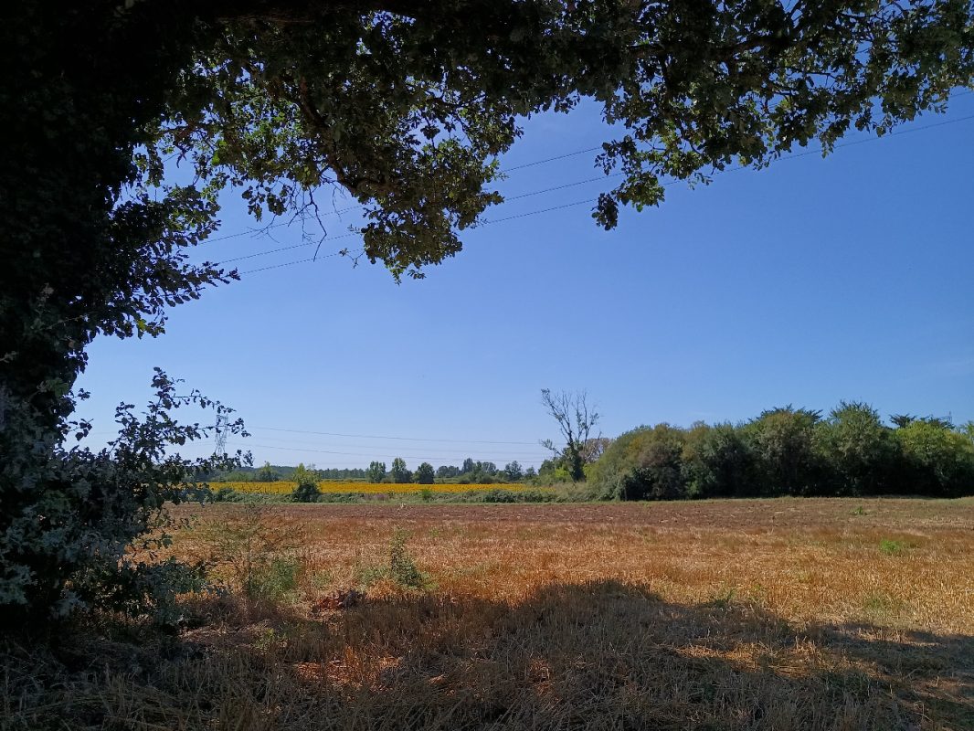 Ma vue pour le pique nique