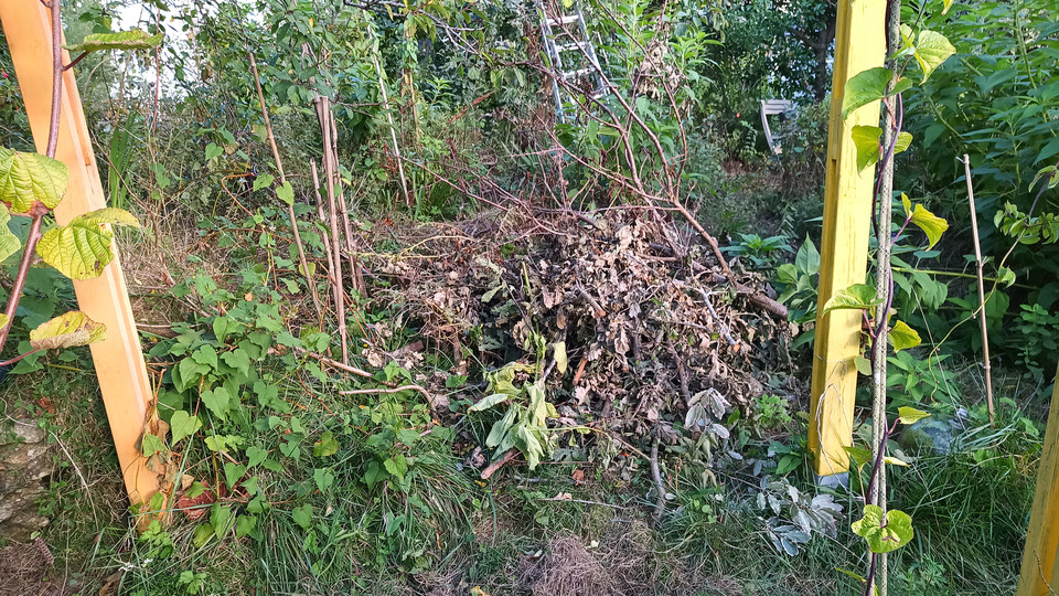 Tas de branche dans le potager